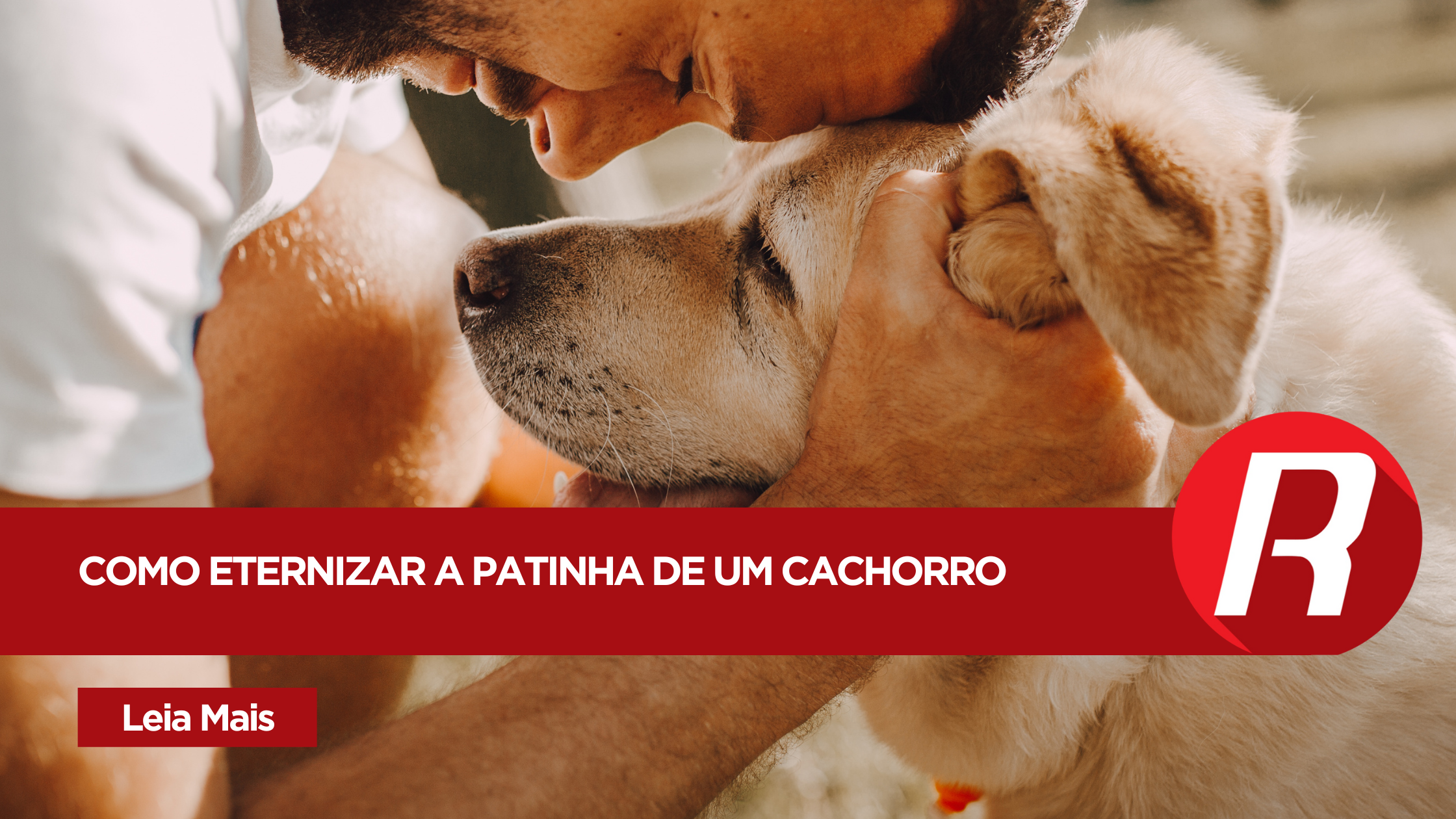 Como Eternizar a Patinha de um Cachorro